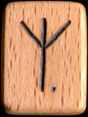 ᛉ : Пятнадцатой нортумбрийской руной является Eolh [Algiz], фонетически обозначающая звук [Z]. - 7944