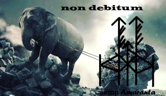  Став «NON DEBITUM». Автор Аmaranta 