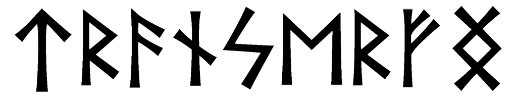 transerfng - Напиши имя  TRANSERFNG рунами  - ᛏᚱᚨᚾᛋᛖᚱᚠᛝ - Значение и характер имени  TRANSERFNG - 