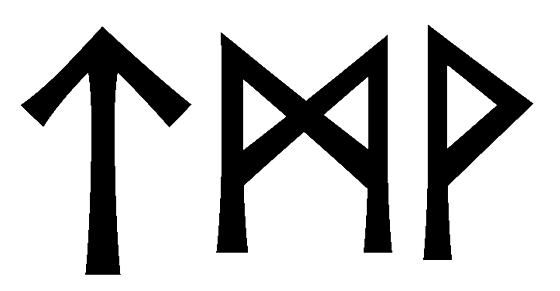 tmv - Напиши имя  TMV рунами  - ᛏᛗ - Значение и характер имени  TMV - 