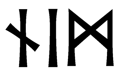 nim - Напиши имя  NIM рунами  - ᚾᛁᛗ - Значение и характер имени  NIM - 