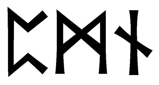 pmn - Напиши имя PMN рунами - ᛈᛗᚾ - Значение и характер имени PMN -