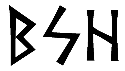 bsh - Напиши имя BSH рунами - ᛒᛋᚺ - Значение и характер имени BSH -