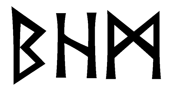 bhm - Напиши имя  BHM рунами  - ᛒᚺᛗ - Значение и характер имени  BHM - 