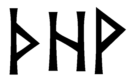 thhv - Напиши имя  THHV рунами  - ᛏᚺᚺ - Значение и характер имени  THHV - 