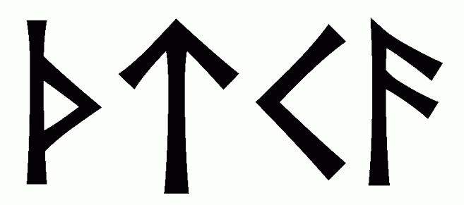 thtka - Напиши имя  THTKA рунами  - ᚦᛏᚲᚨ - Значение и характер имени  THTKA - 