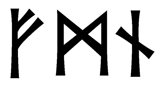 fmn - Напиши имя  FMN рунами  - ᚠᛗᚾ - Значение и характер имени  FMN - 