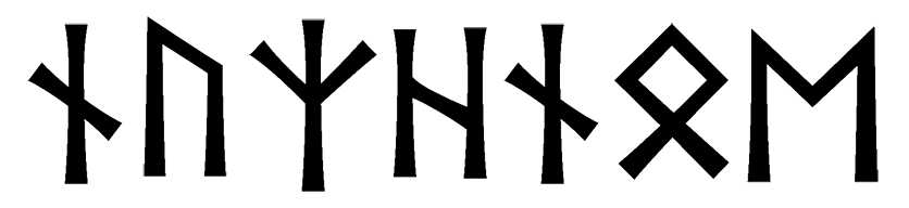 nuzhnoe - Напиши имя  NUZHNOE рунами  - ᚾᚢᛉᚺᚾᛟᛖ - Значение и характер имени  NUZHNOE - 
