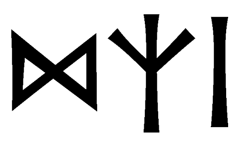 dzi - Напиши имя  DZI рунами  - ᛞᛉᛁ - Значение и характер имени  DZI - 