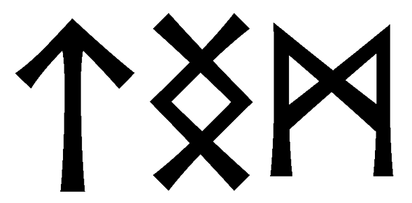 tngm - Напиши имя  TNGM рунами  - ᛏᚾᚷᛗ - Значение и характер имени  TNGM - 