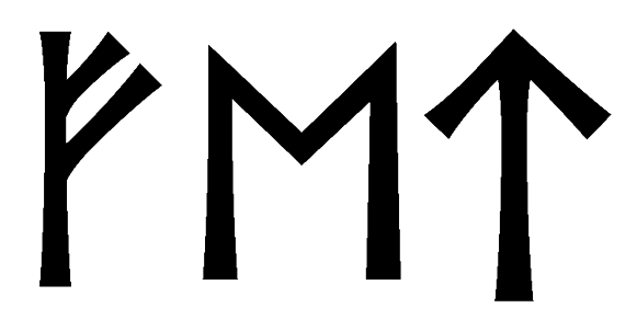 fet - Напиши имя  FET рунами  - ᚠᛖᛏ - Значение и характер имени  FET - 