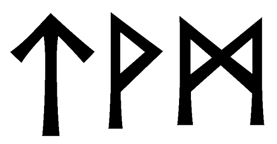 tvm - Напиши имя  TVM рунами  - ᛏᛗ - Значение и характер имени  TVM -