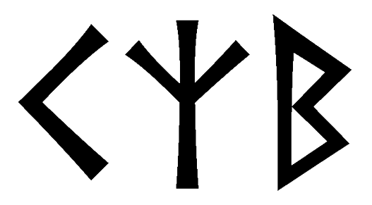 kzb - Напиши имя  KZB рунами  - ᚲᛉᛒ - Значение и характер имени  KZB - 