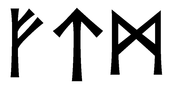 ftm - Напиши имя  FTM рунами  - ᚠᛏᛗ - Значение и характер имени  FTM - 