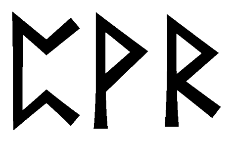 pvr - Напиши имя  PVR рунами  - ᛈᚱ - Значение и характер имени  PVR - 