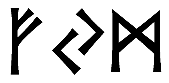 fym - Напиши имя  FYM рунами  - ᚠᛃᛗ - Значение и характер имени  FYM - 