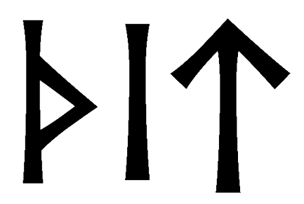 thit - Напиши имя  THIT рунами  - ᛏᚺᛁᛏ - Значение и характер имени  THIT - 