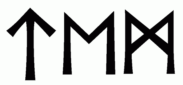 tem - Напиши имя  TEM рунами  - ᛏᛖᛗ - Значение и характер имени  TEM - 